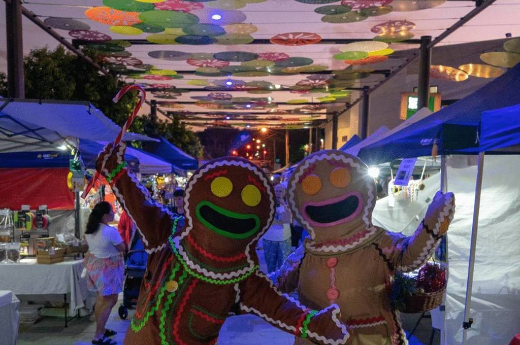 beenleigh twilight christmas market brisbane november
