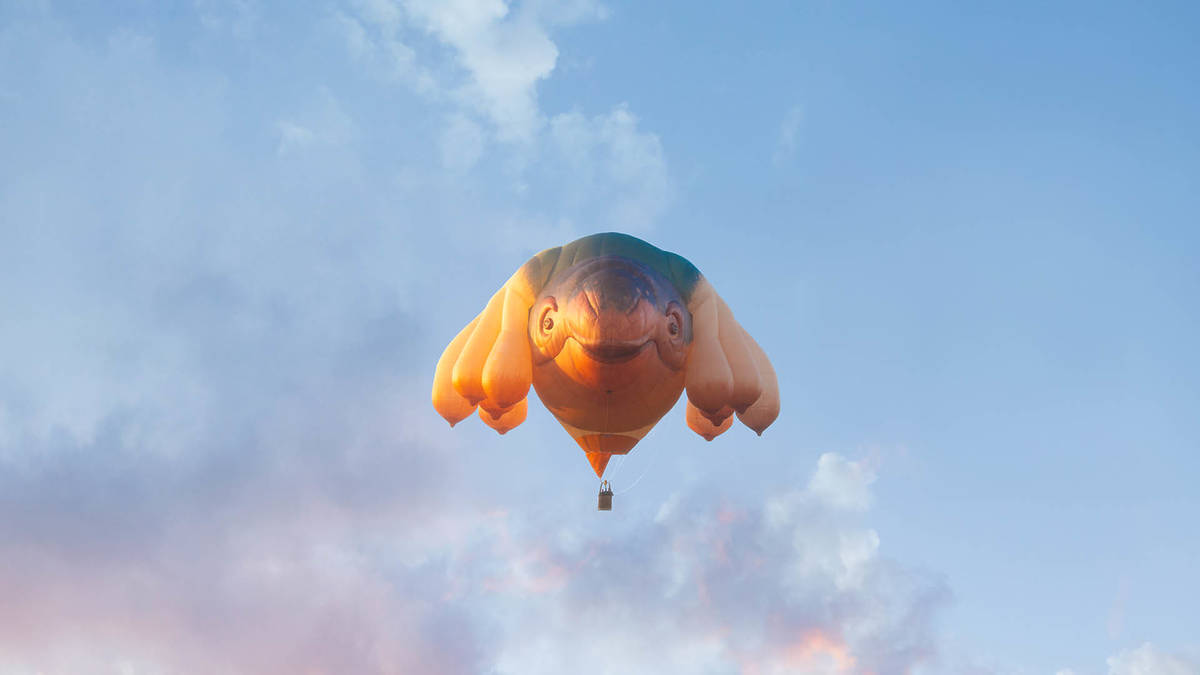 skywhales bleach festival 2025