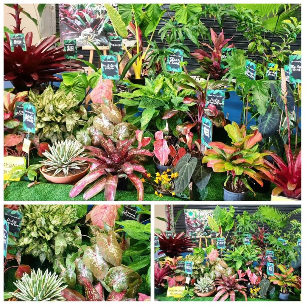 tropical foliage festival