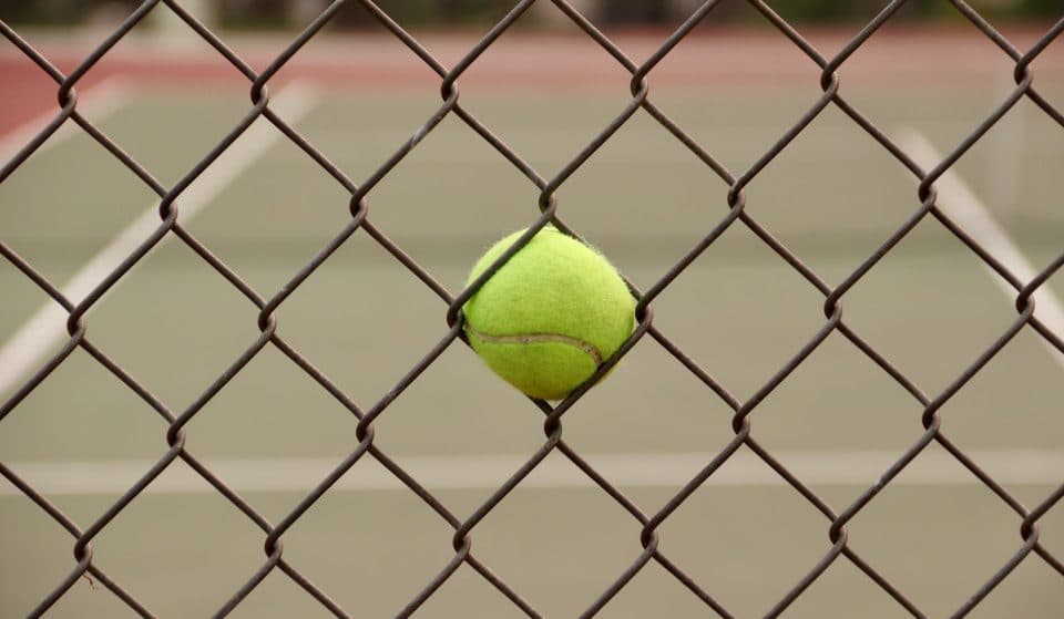 25 Hilarious Tweets About This Whole Novak Djokovic Situation