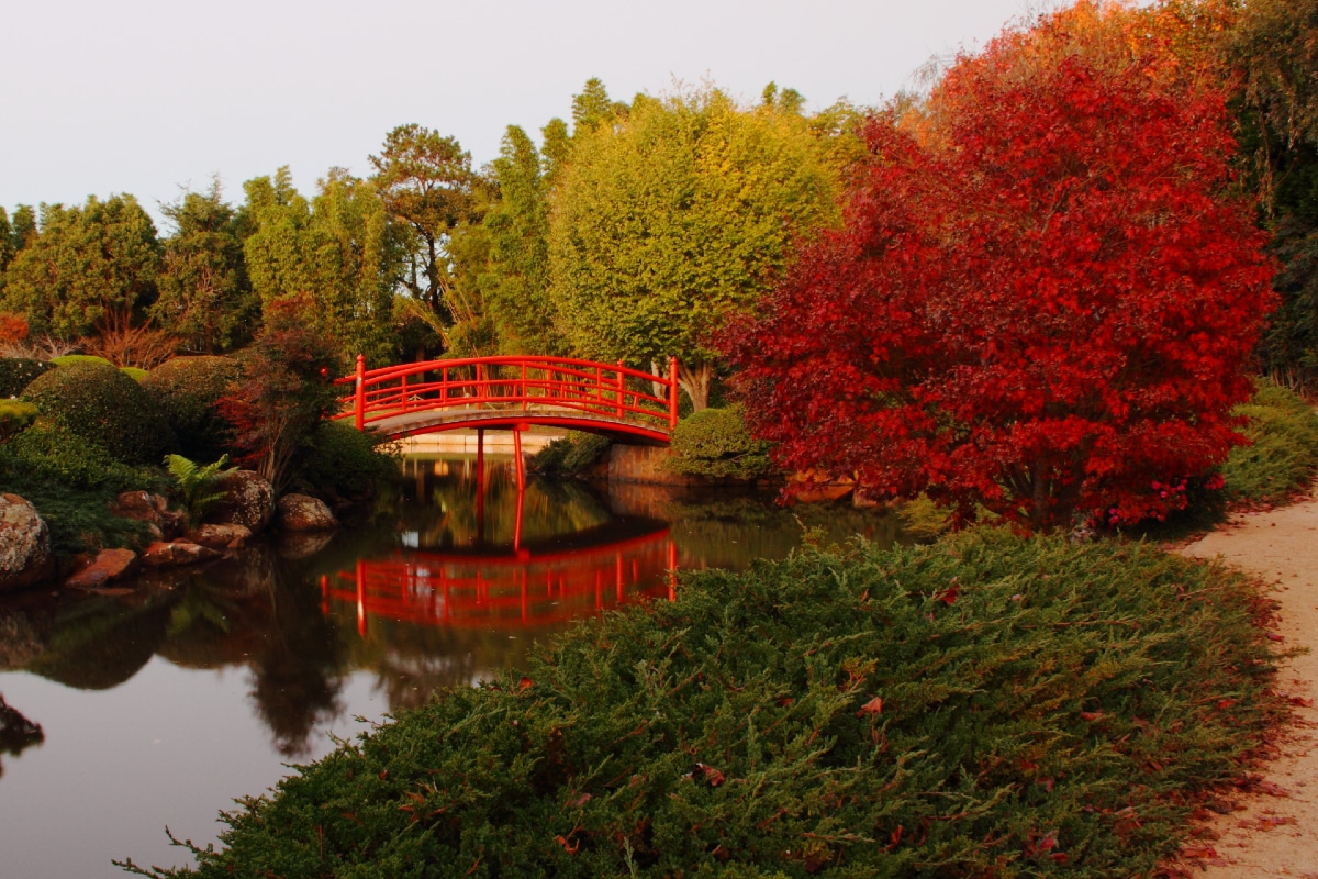 Here's Where To Find Some Of The Best Autumn Colours Near Brisbane
