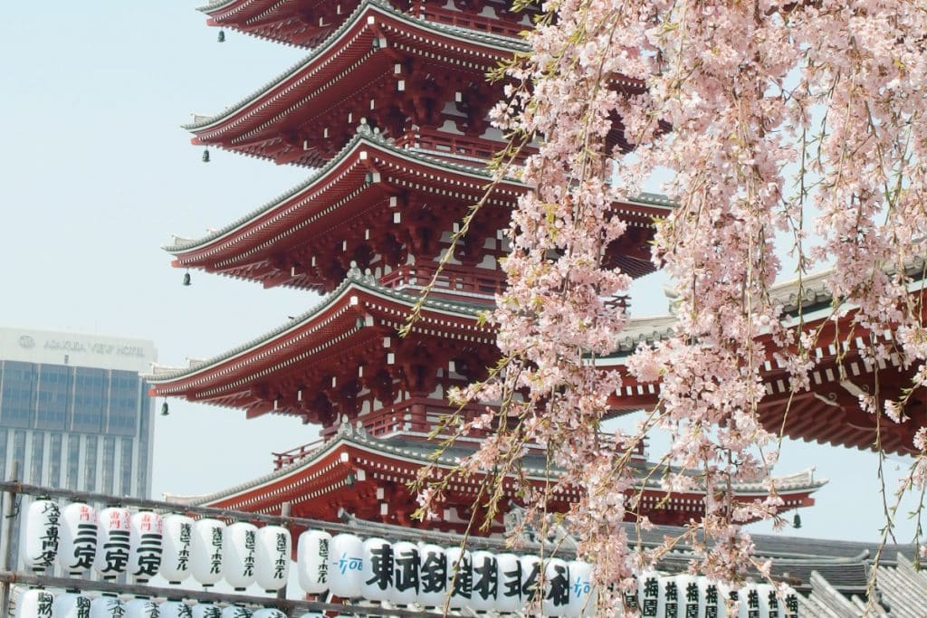 Japan Finally Lifts Last Travel Restrictions So Soon You Won’t Need A Visa To Visit