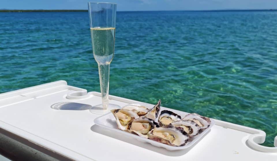 Eat Freshly Shucked Oysters Straight From The Sea On This Epic Boat Adventure