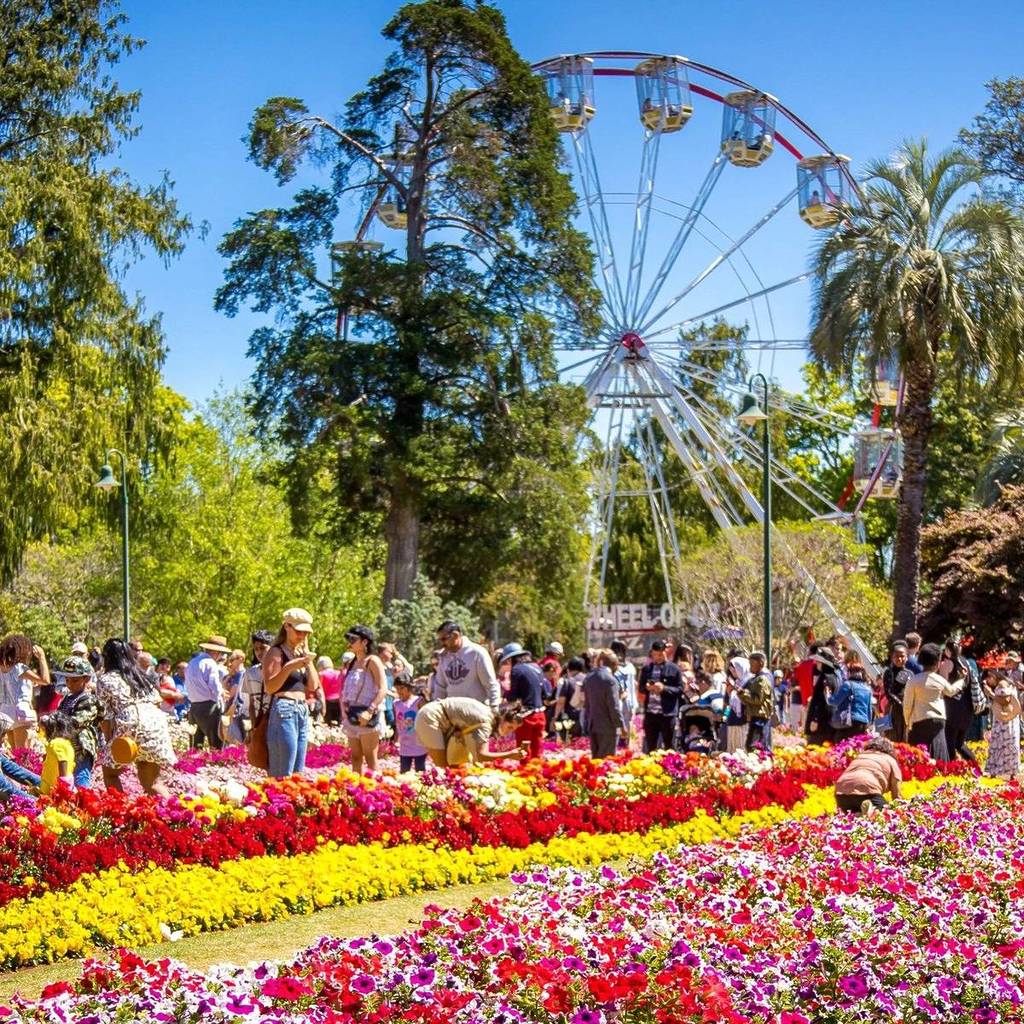 toowoomba carnival of flowers ferris wheel