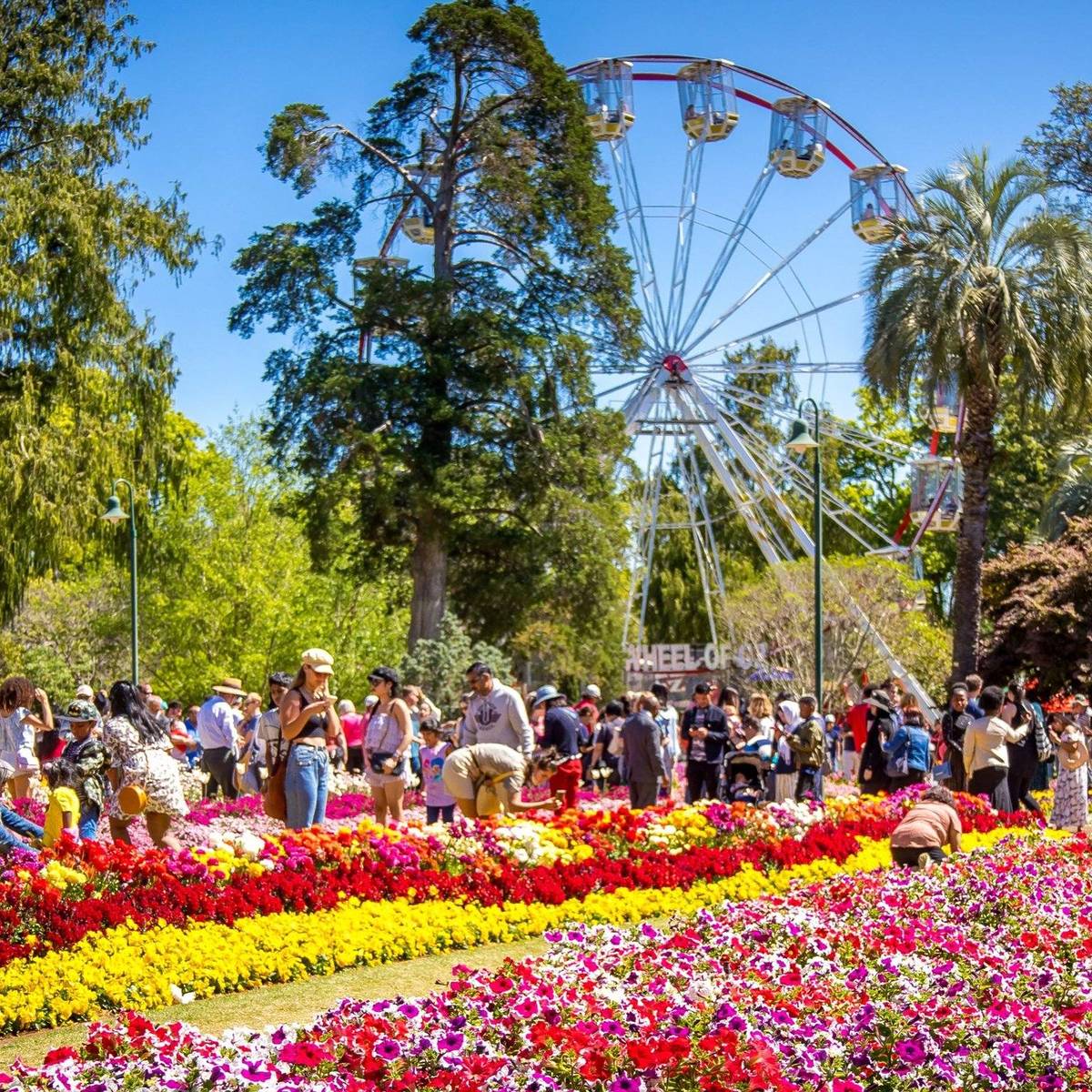toowoomba carnival of flowers ferris wheel