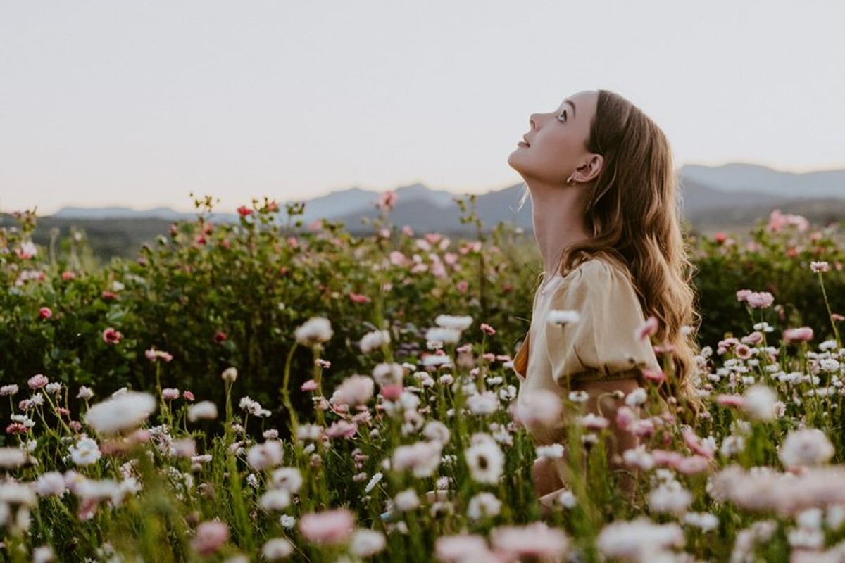 A Pink Long Lunch In The Daisy Field Is Coming To The Scenic Rim
