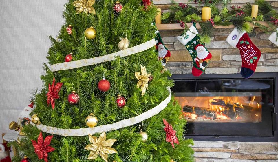 Best Places You Can Buy Real Christmas Trees In Brisbane And Beyond
