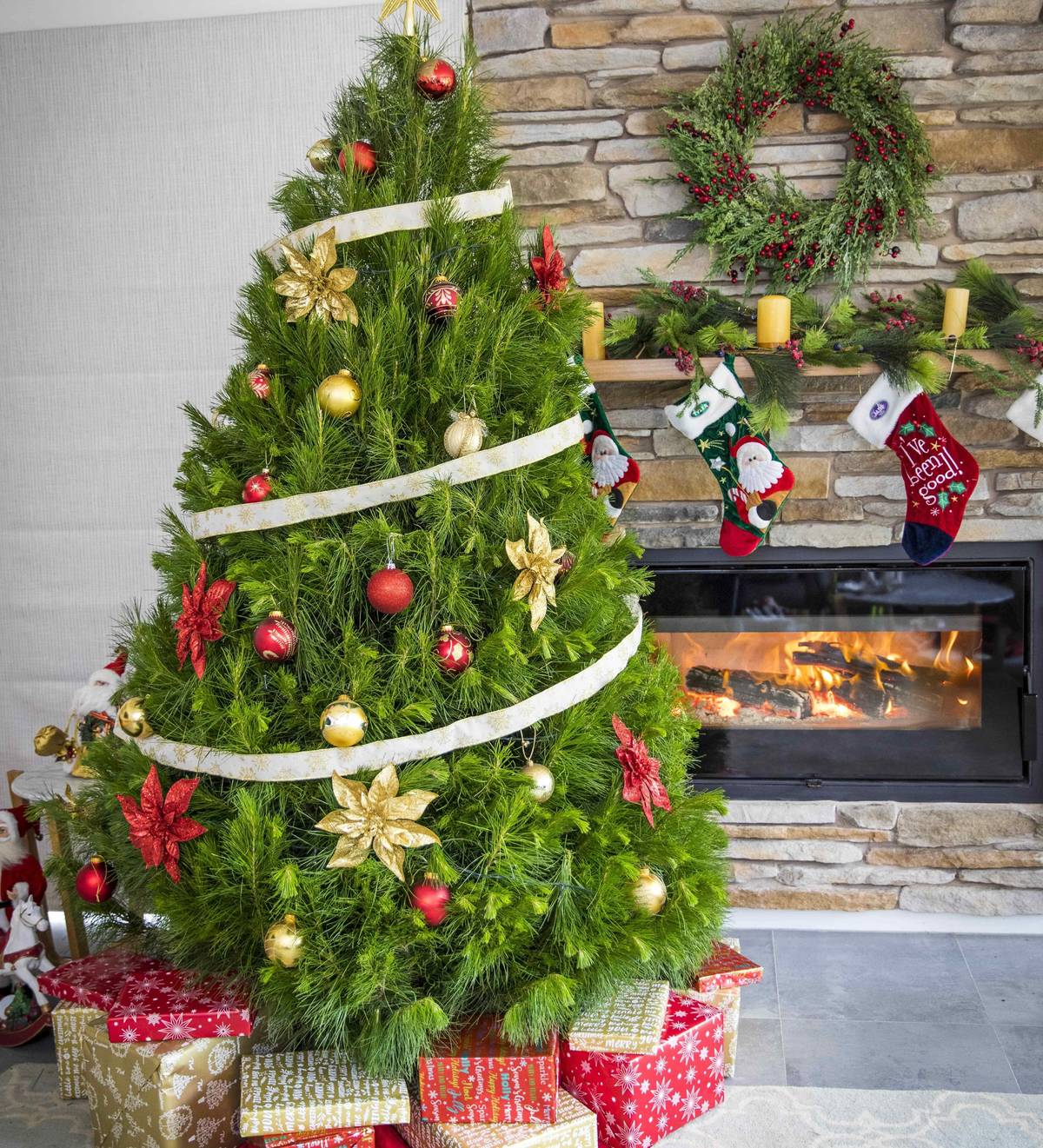 The Best Places You Can Buy Real Christmas Trees In Brisbane