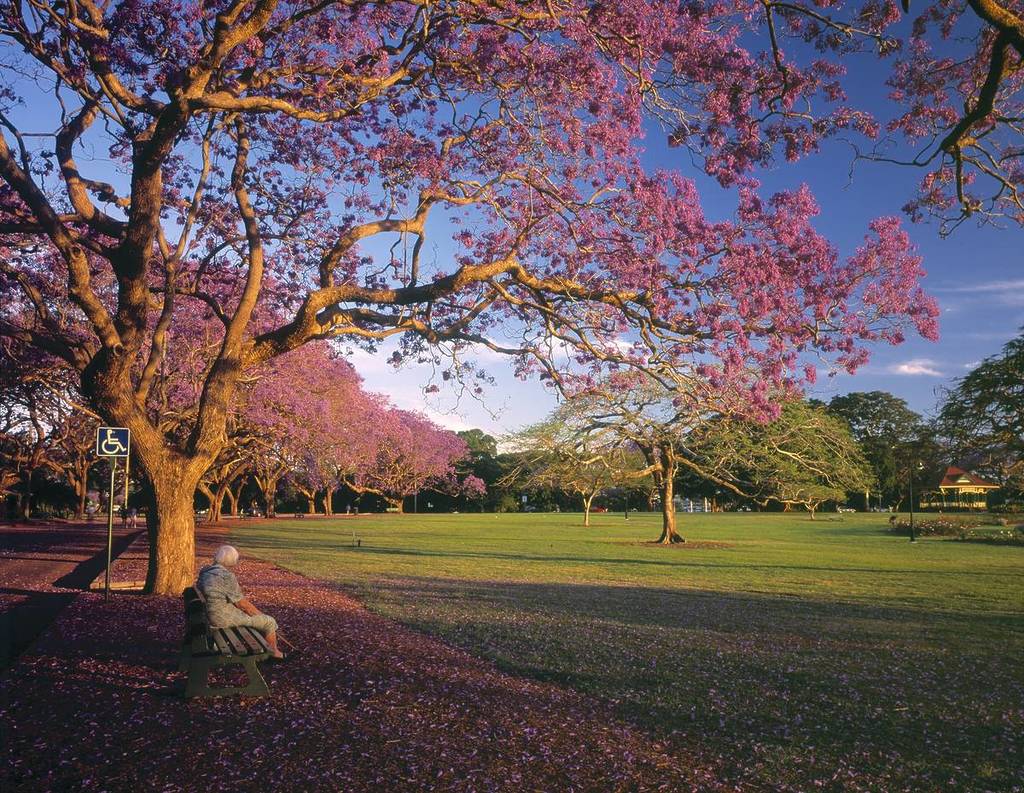 new farm park
