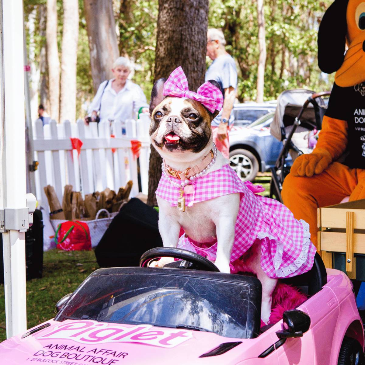 barktoberfest strike a paws dog