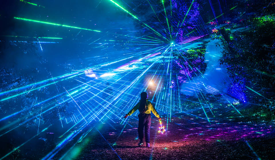 Take A Stroll Along This Immersive Light and Sound Trail In Toowoomba