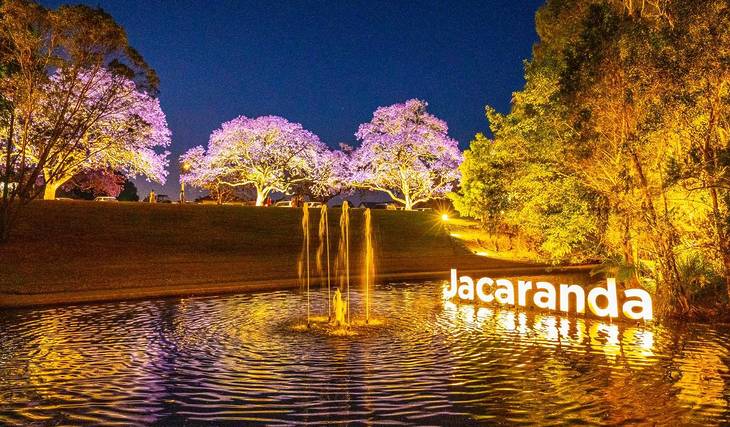 Delightful jacaranda festivals to attend this spring near Brisbane