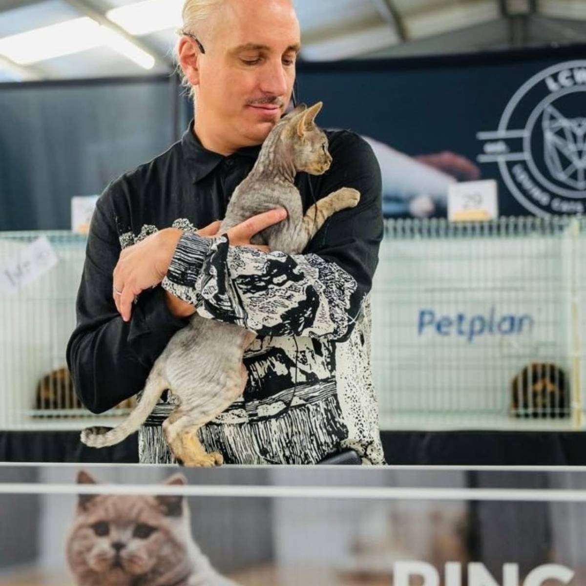 oz feline fair steven meserve