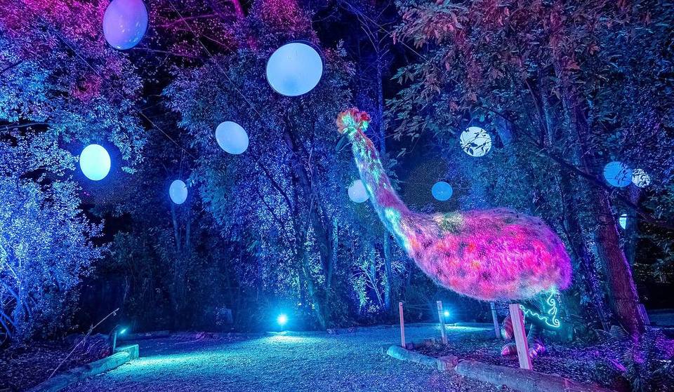 LUMA Enchanted Is A Mystical Night Walk In Queenstown Perfect For Your Winter Trip To New Zealand