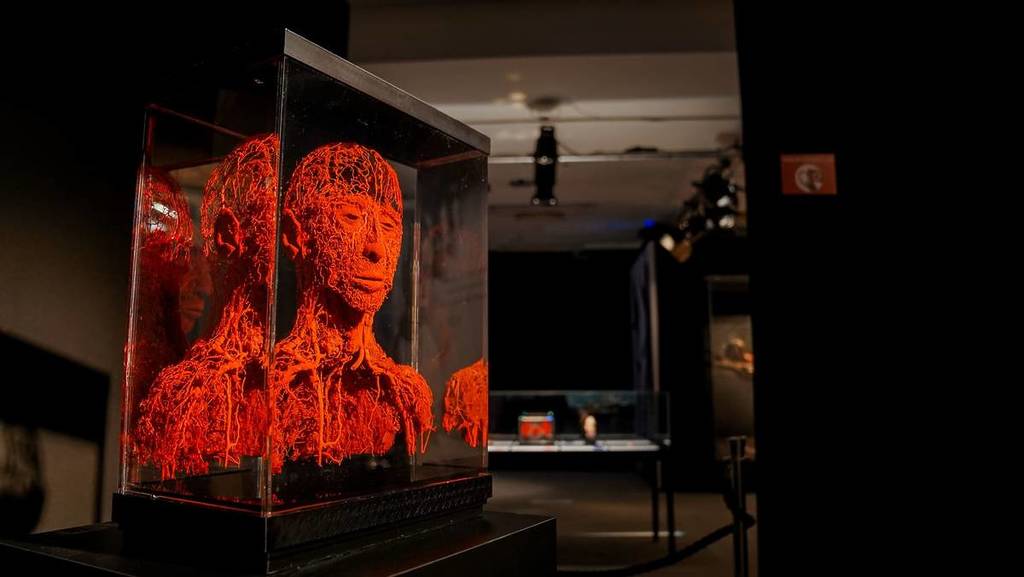 A red figure of a person's head and shoulders showing all the arteries inside a glass case at BODY WORLDS.