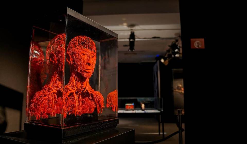 We Visited BODY WORLDS: The Anatomy Of Happiness And It’s One Of The Most Profound Experiences We’ve Had