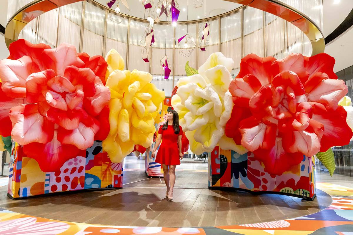 brisbane quarter love follows a line