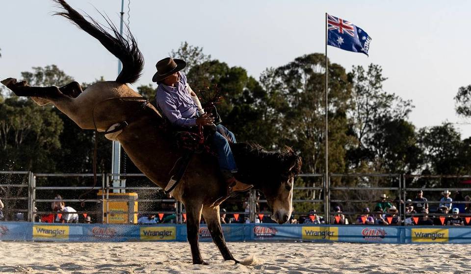 Try The Best BBQ In The Region And Line Dance At This Country Festival