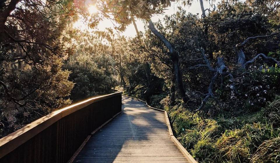 This 2km Trail Near Brisbane Is A Hidden Gem With Stunning Sunrises And A Scenic Beergarden