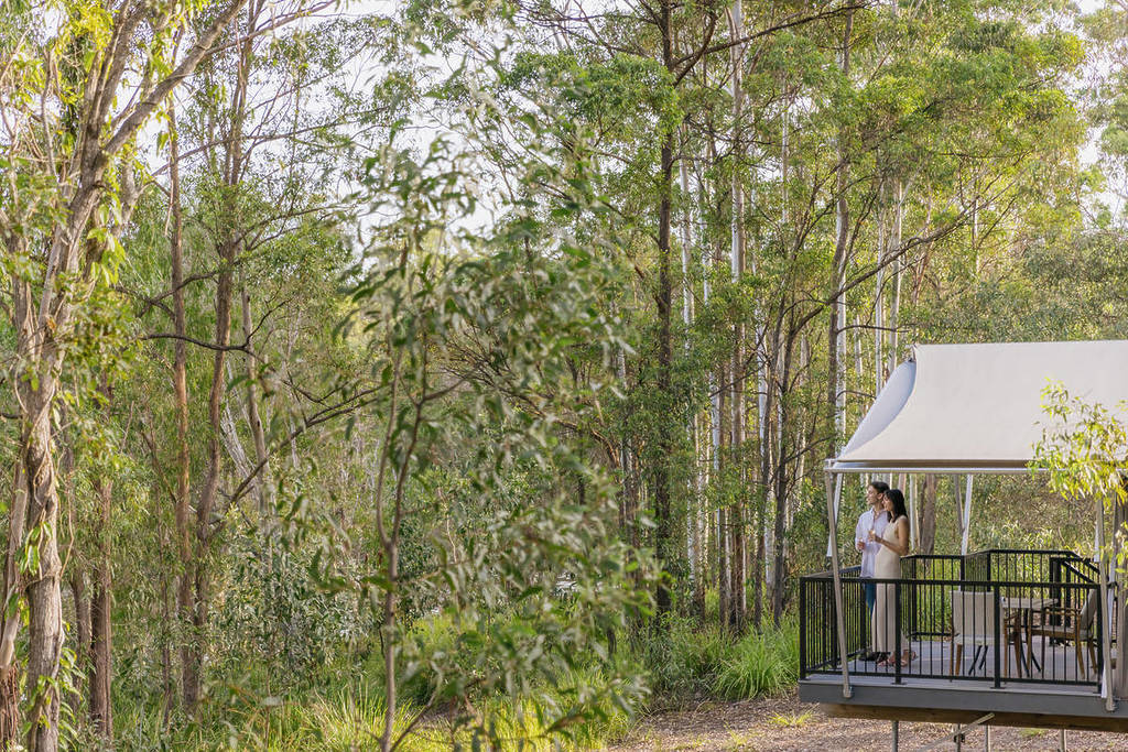 A man and a woman stand on the balcony of their cabin and gaze at their view of the woodlands at Sirromet Winery.
