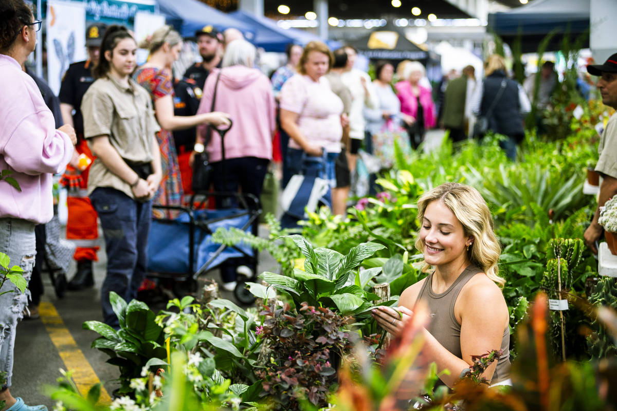 plantapalooza brisbane markets 2025