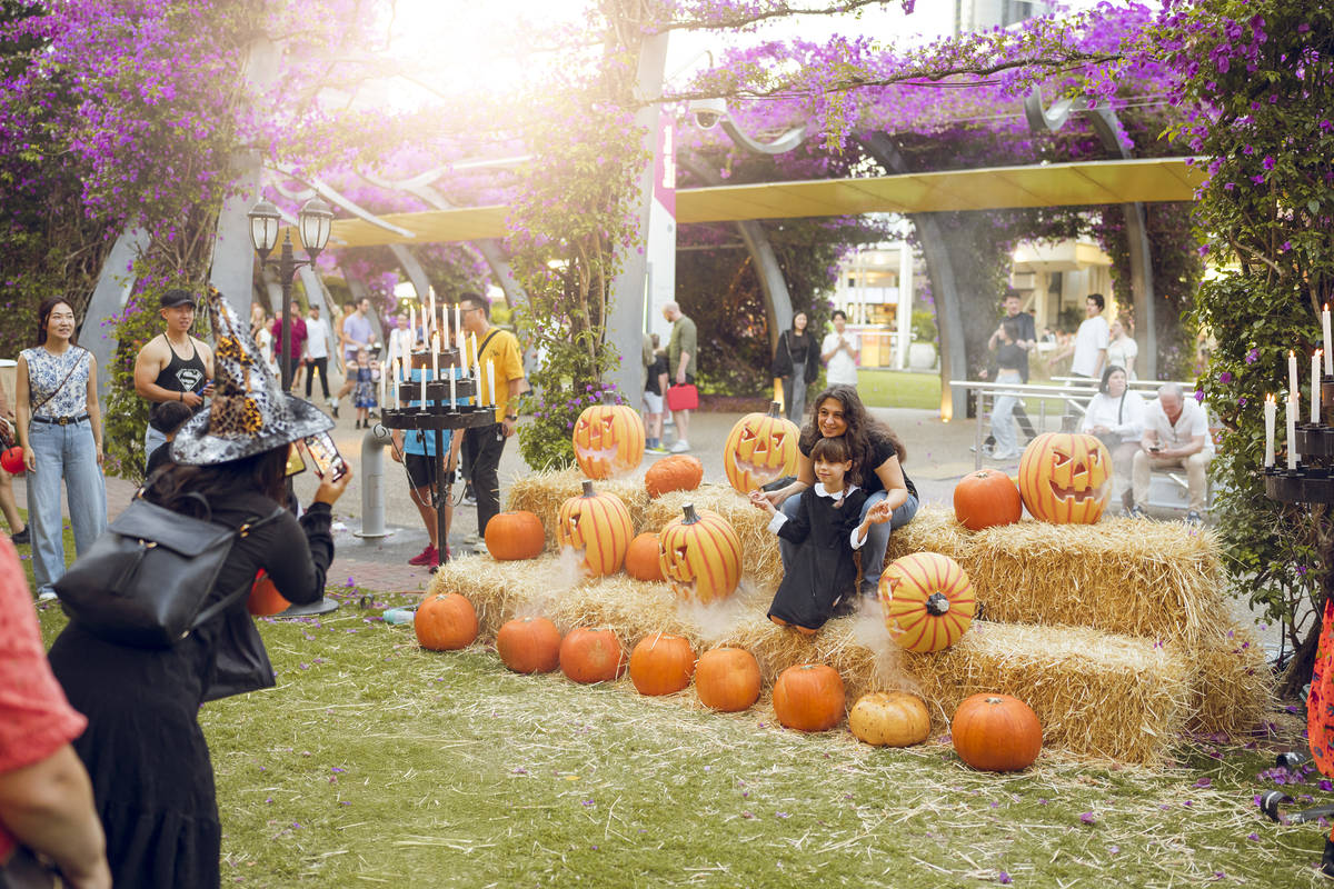 trick or treat little stanley street pumpkin patch