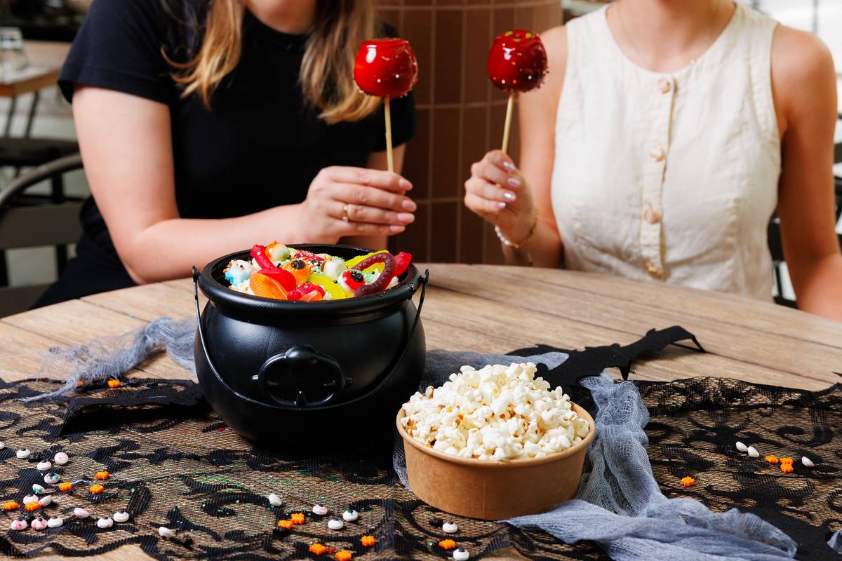 trick or treat little stanley street alemre