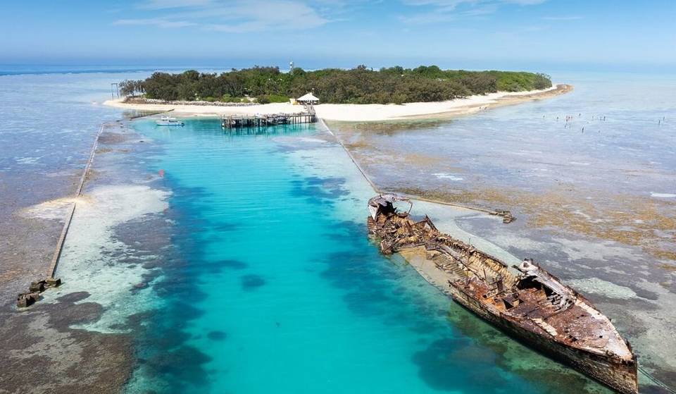 This Island Is The Best Place To See Turtles Nest And Hatch In The Summer