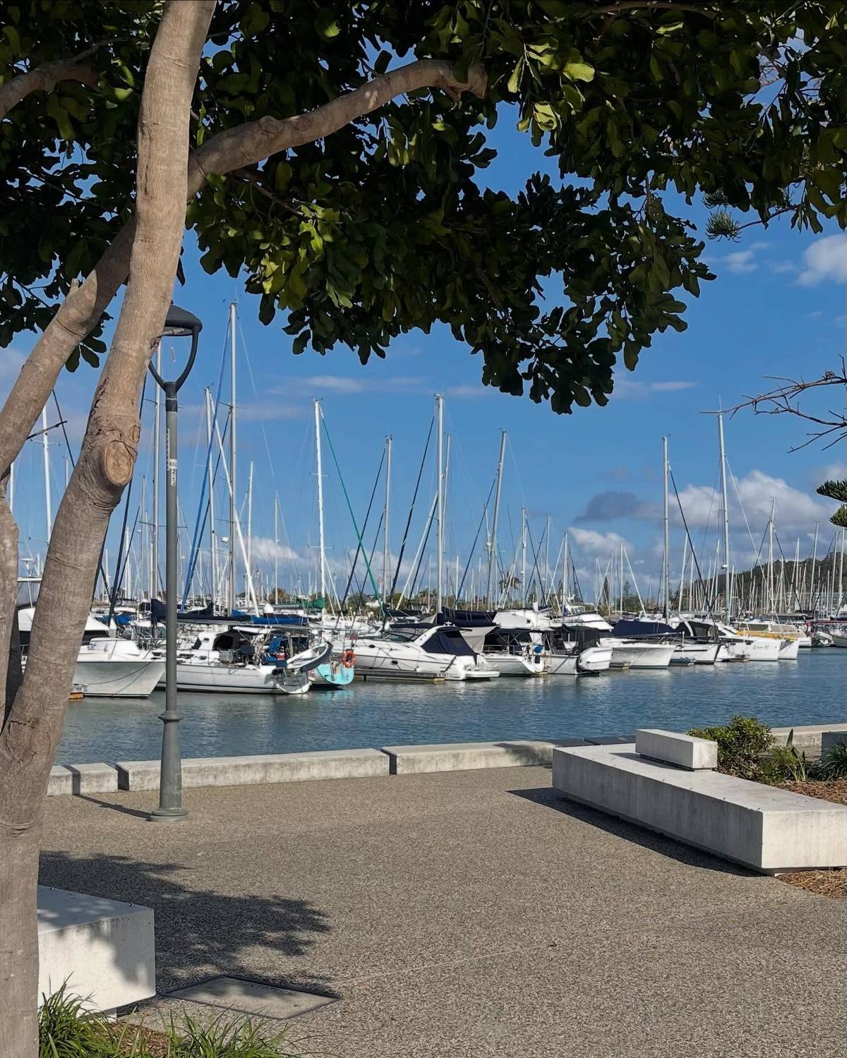 wynnum manly coastal walk yachts