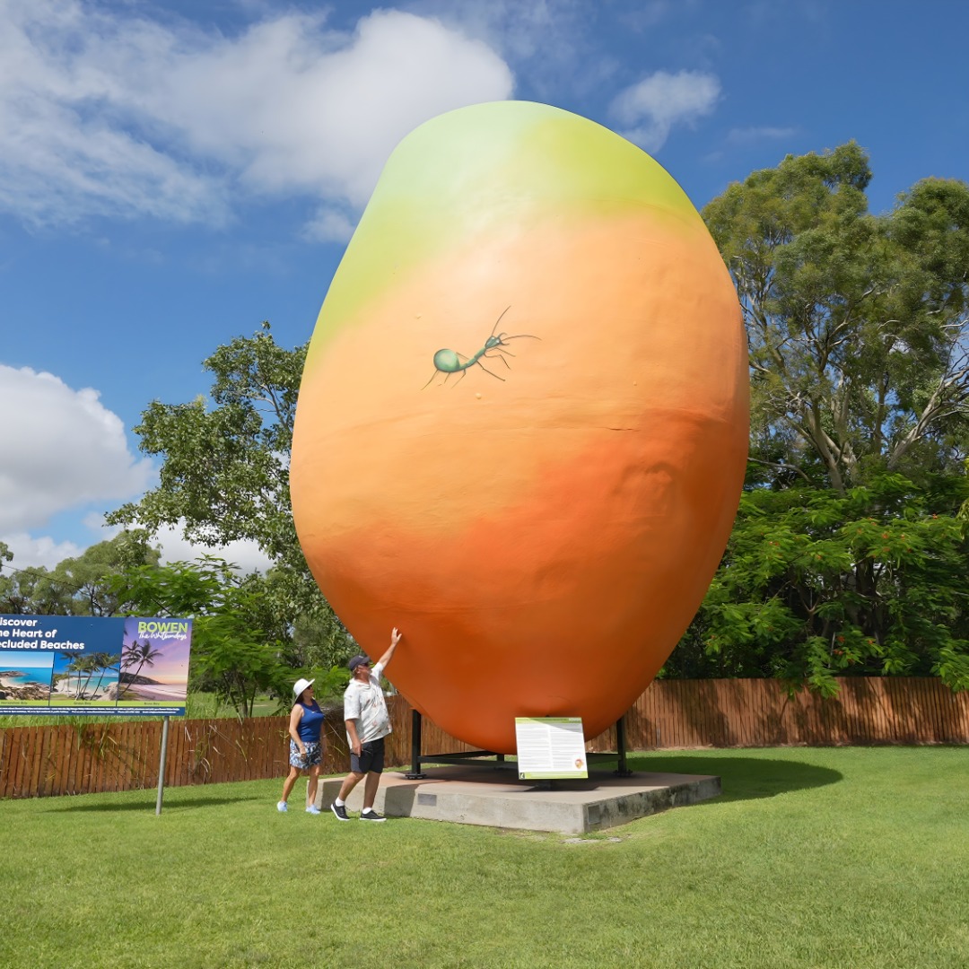 big mango bowen queensland