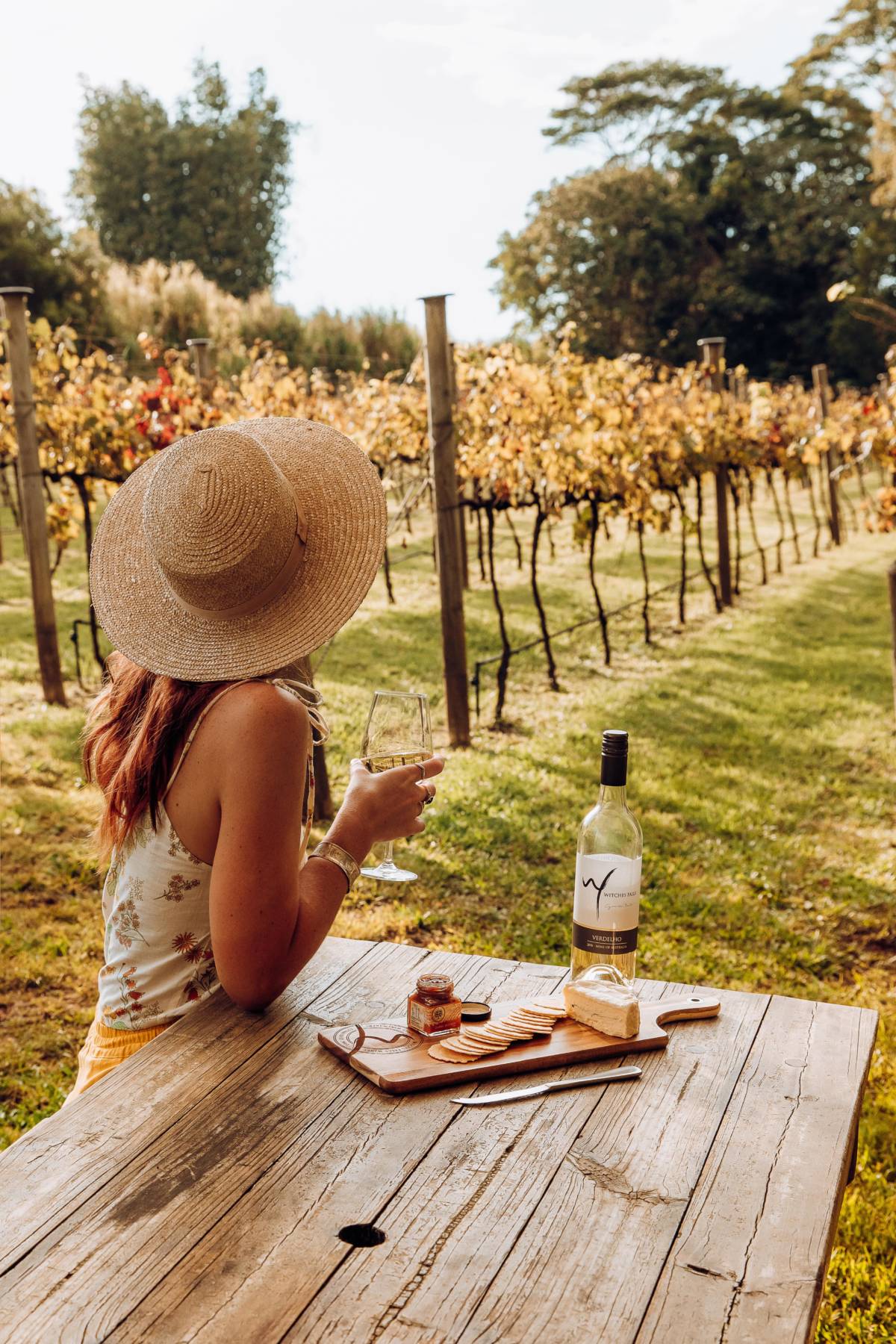 peddly picnics tamborine mountain scenic rim witches falls winery