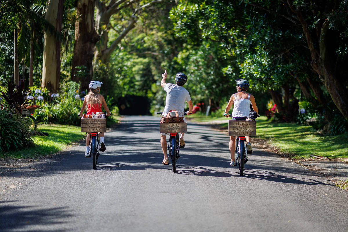 peddly picnics tamborine mountain scenic rim bikes
