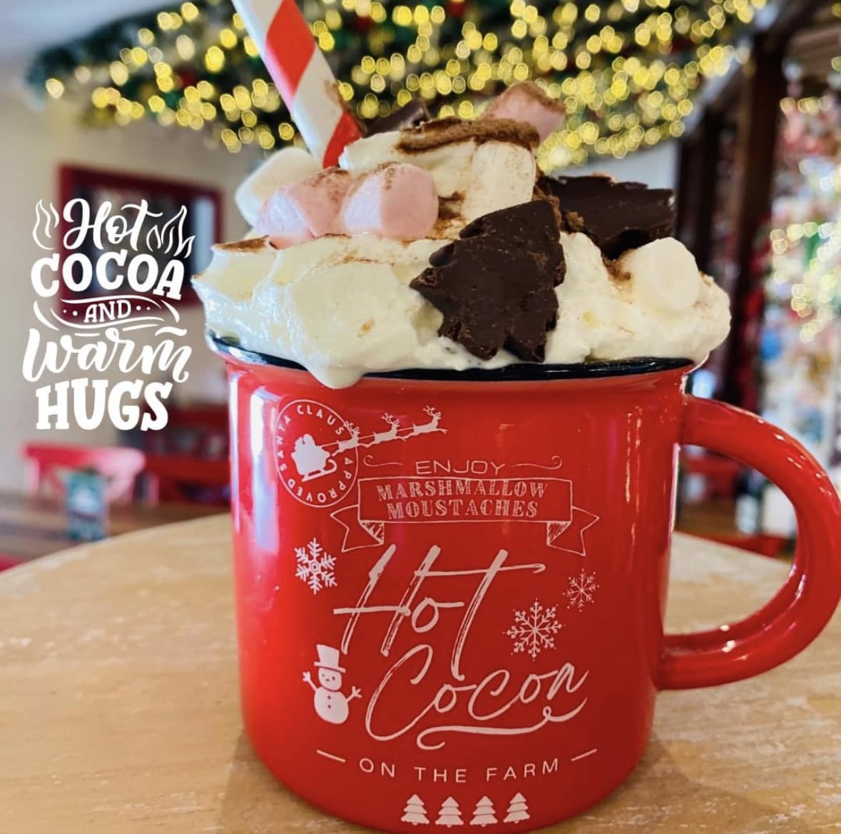 Granite Belt Christmas Farm mrs claus cafe hot chocolate