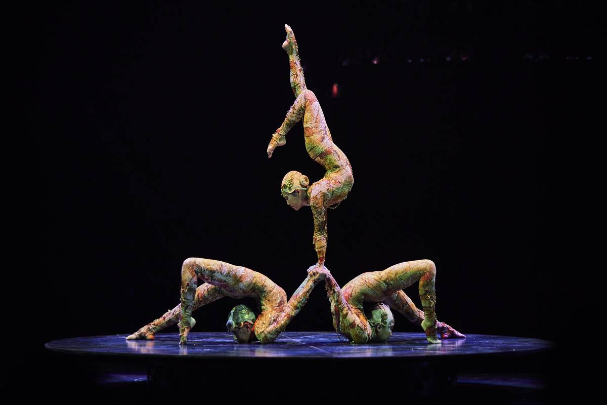 cirque du soleil kooza contorsion