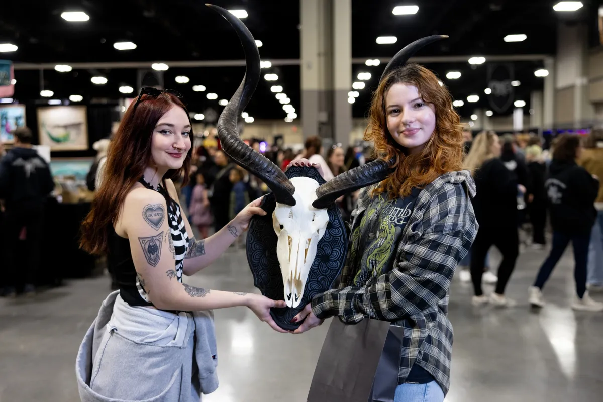 the oddities and curiosities expo brisbane