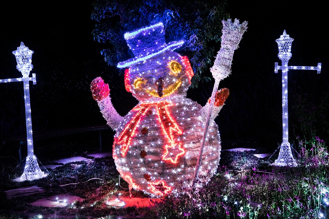 Toowoomba's Christmas Wonderland