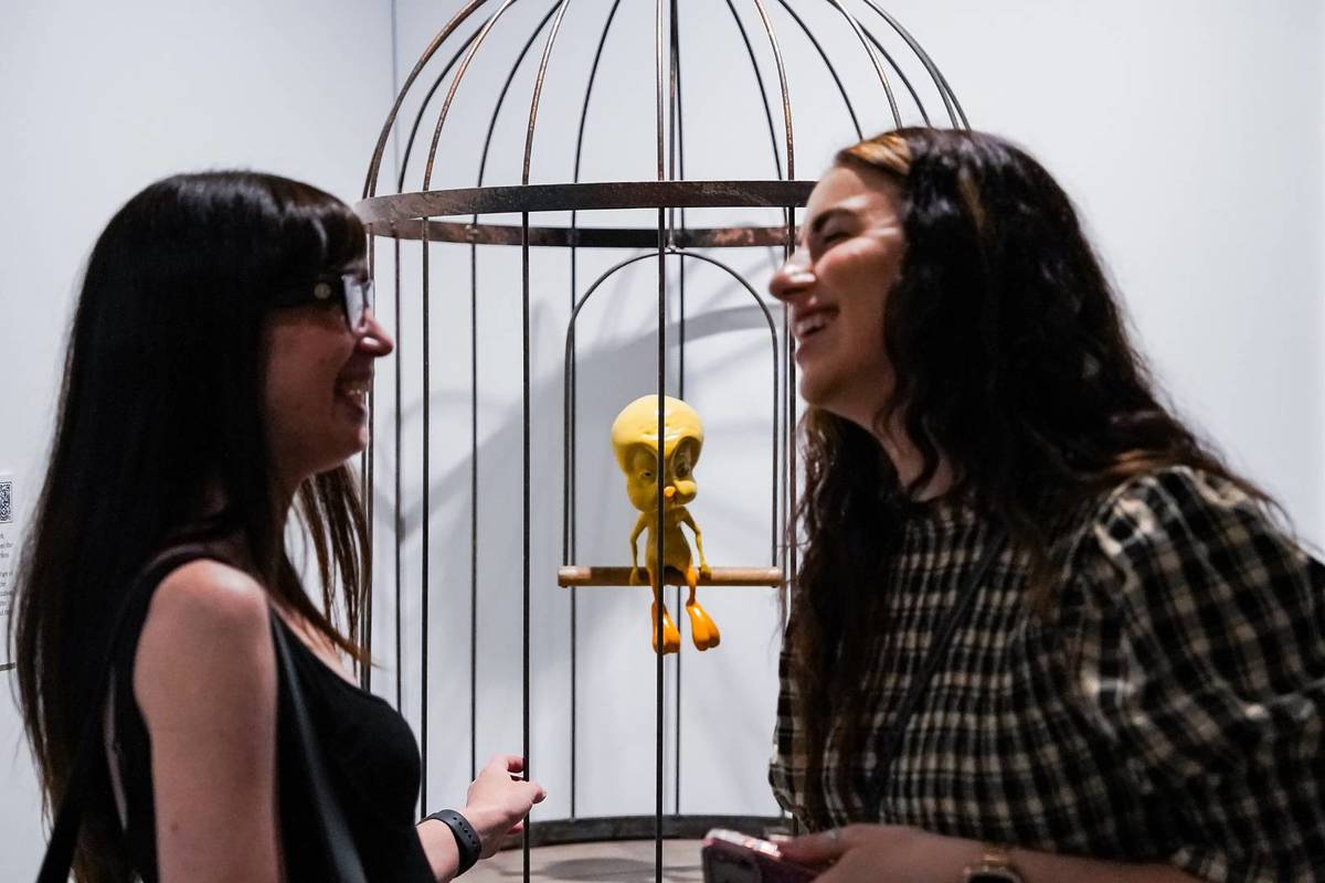 An elderly Tweety bird caged