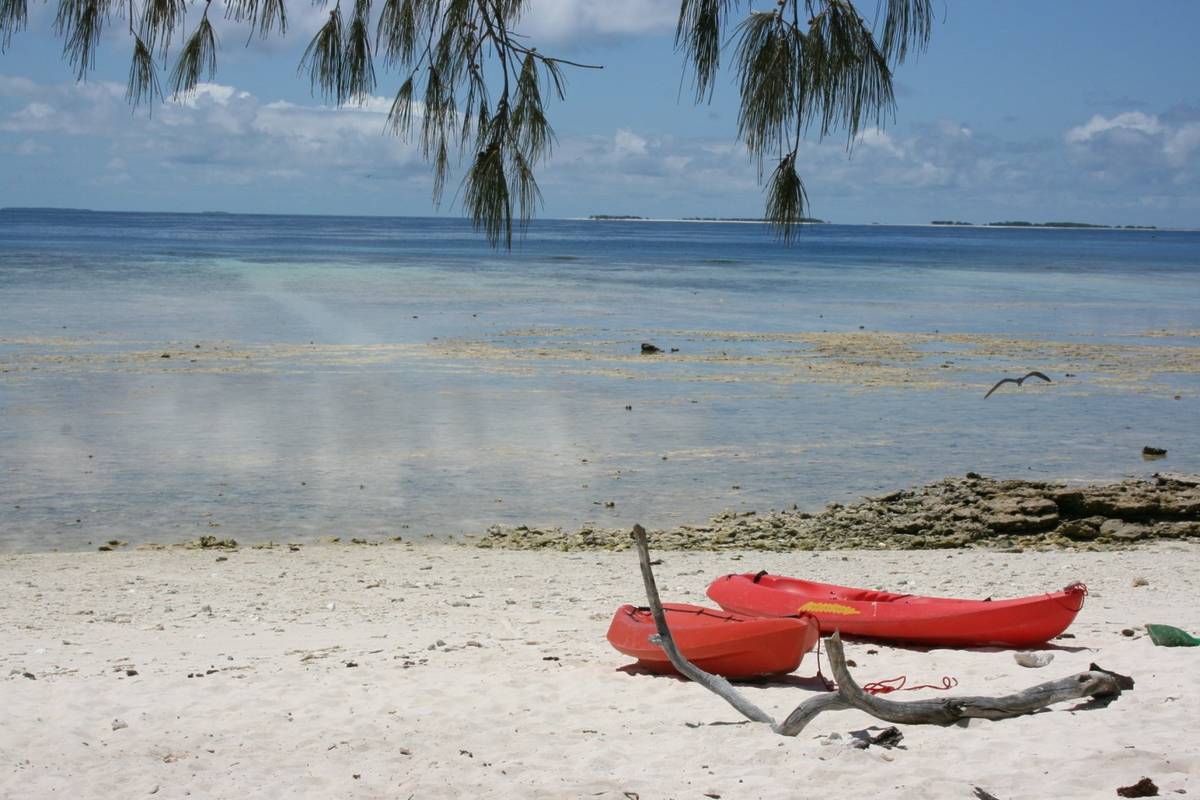 lady musgrave island beach