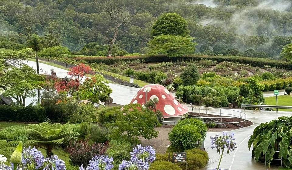 These Stunning Botanic Gardens Are Turning Into A Magical Fairy Land With Potion Making, Fairy Floss And More!