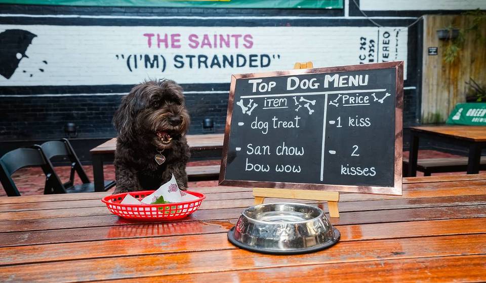 Forget The Dog Park: Your Pup Can Eat For Free At This Iconic Music Venue In Brisbane