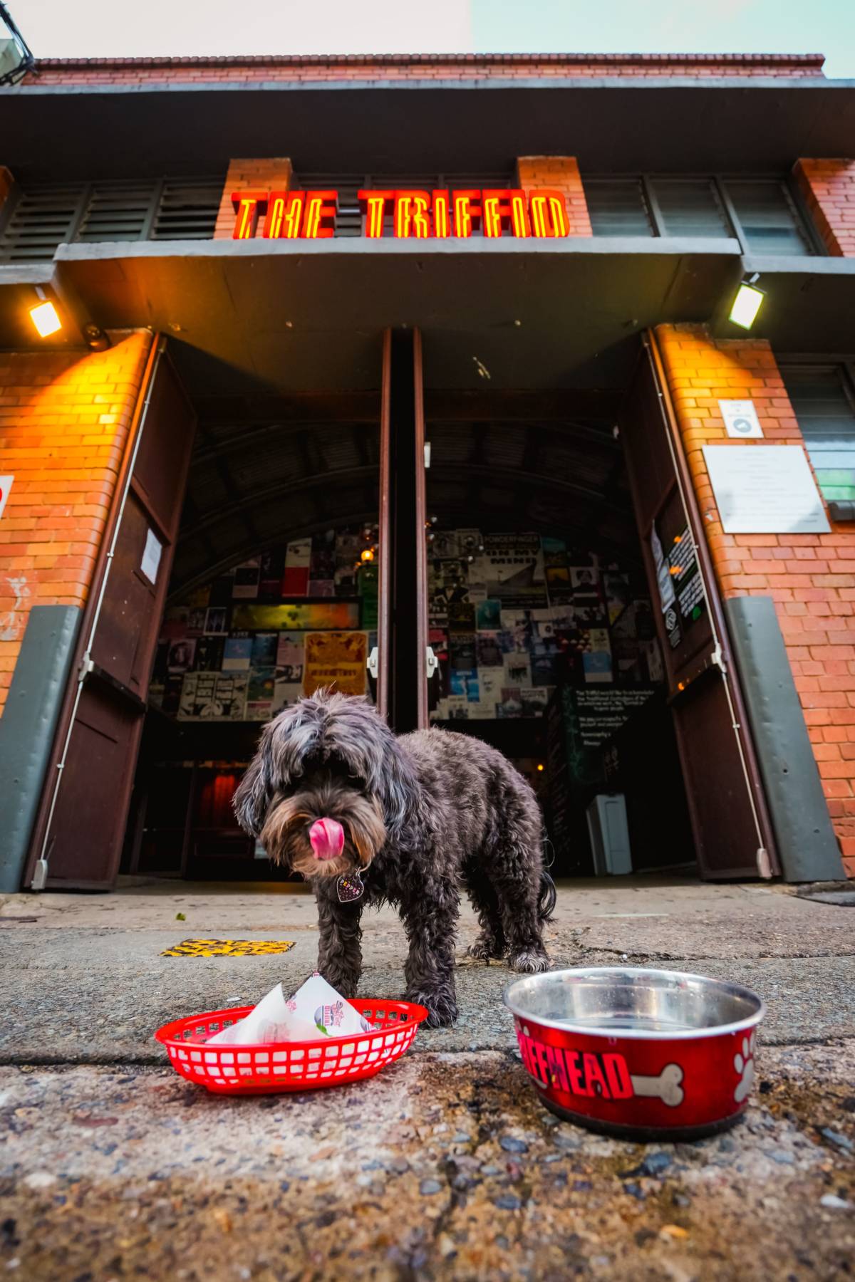 San Chow Bow Wow the triffid dog menu