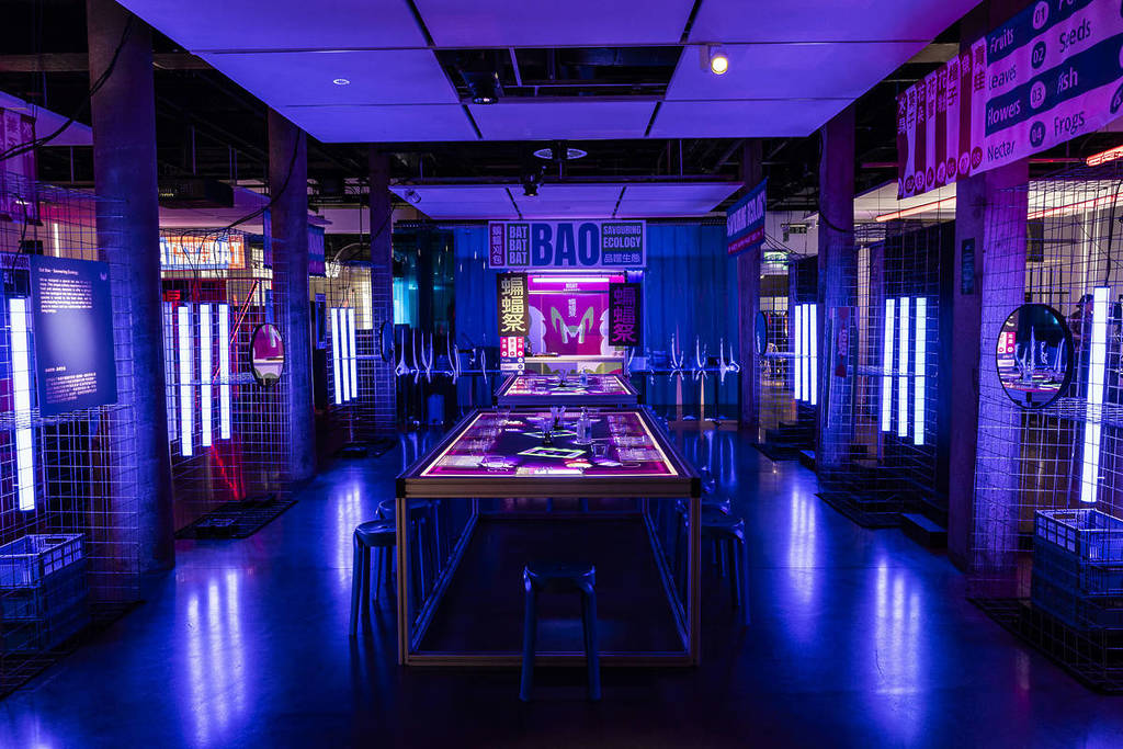 bat night market world science festival brisbane