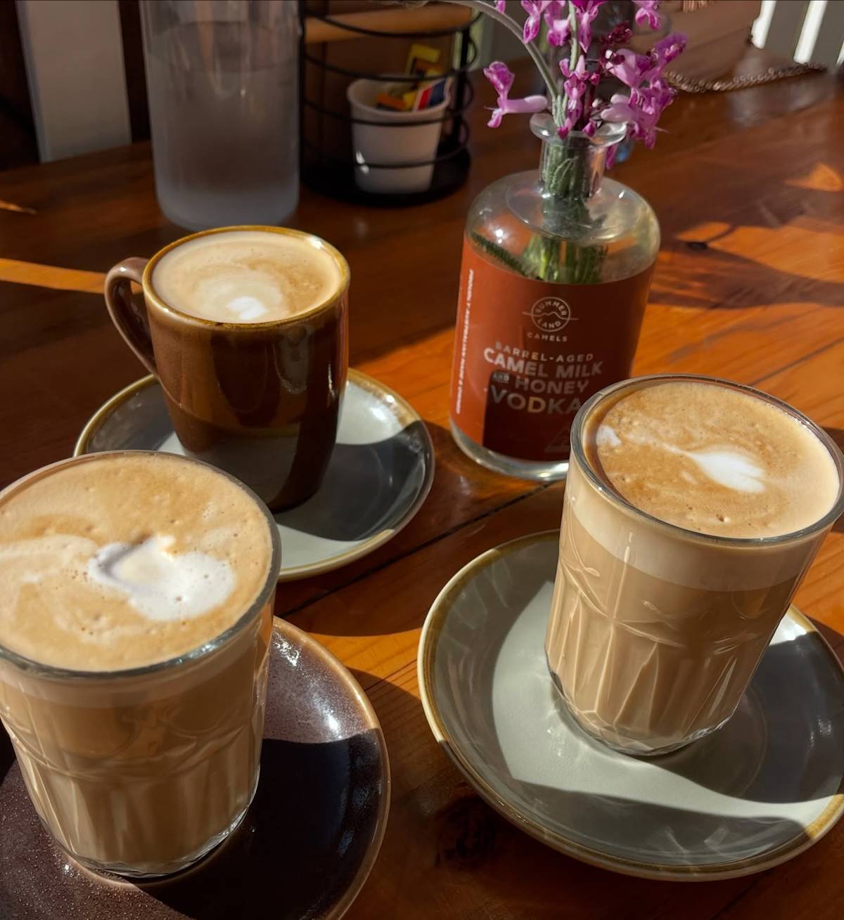 Summer Land Camels camelcino cafe