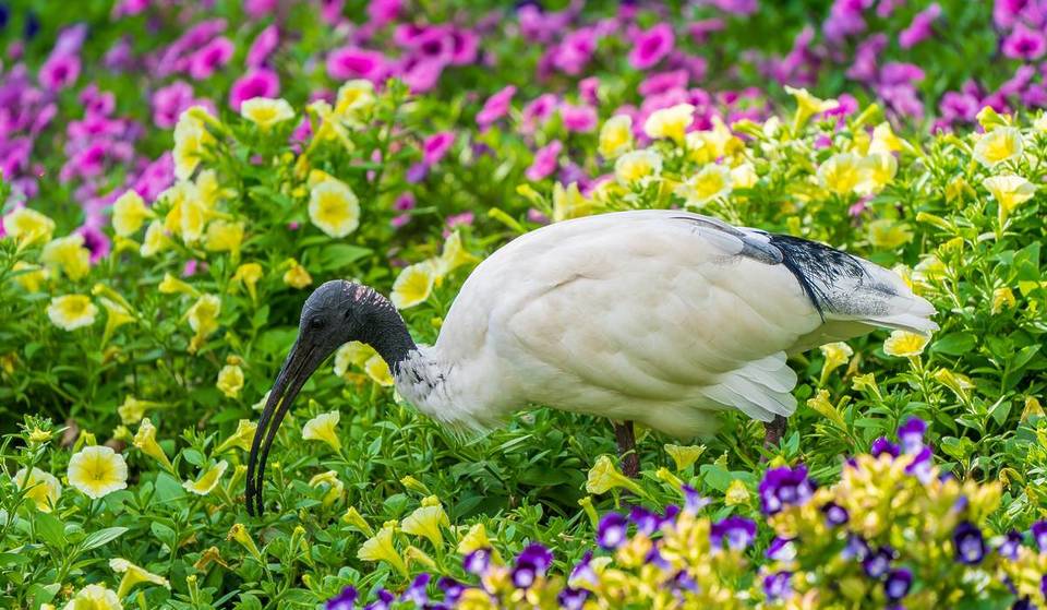 The Best Micro Experiences To Try In Brisbane In 2026