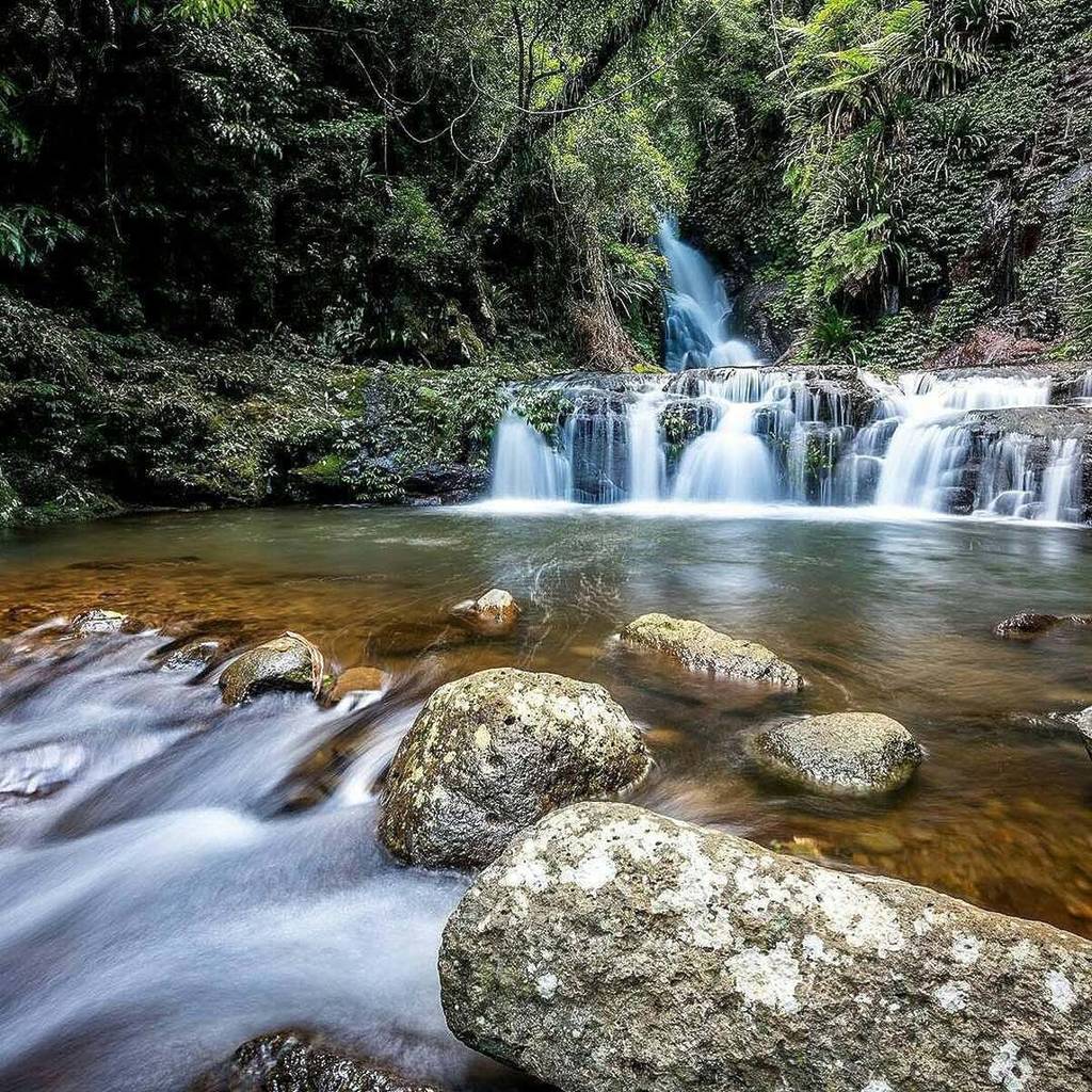 elabana falls lamington national park