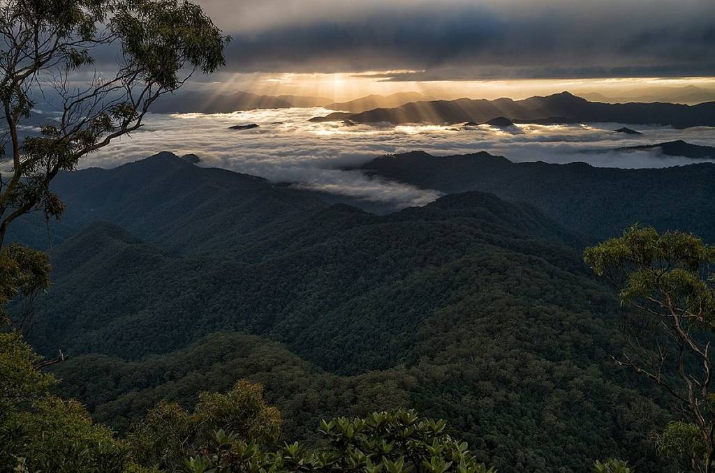 sunset shown over mountains in gondwana rainforest in australia