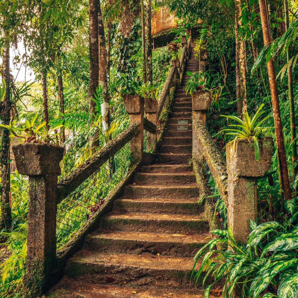 paronella park stairs mena creek falls east innisfail