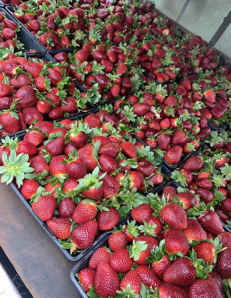 Jarvis Fresh Strawberry Store