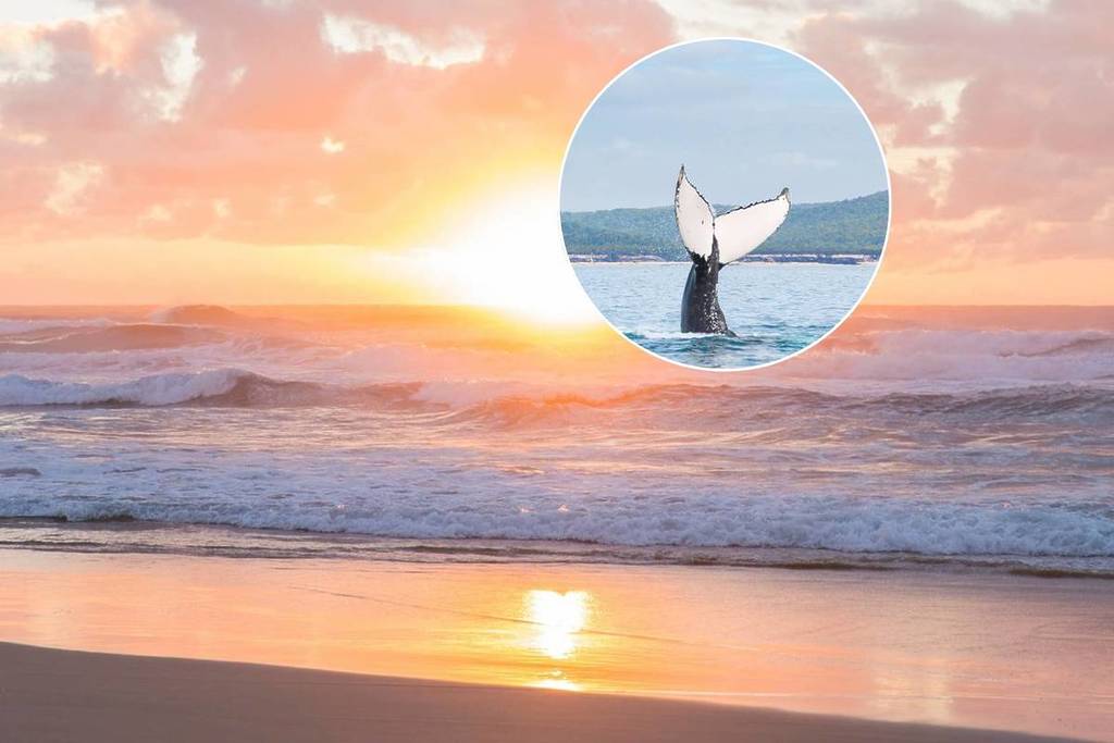 Why this ‘happy’ beach town is the ultimate winter escape just north of Brisbane