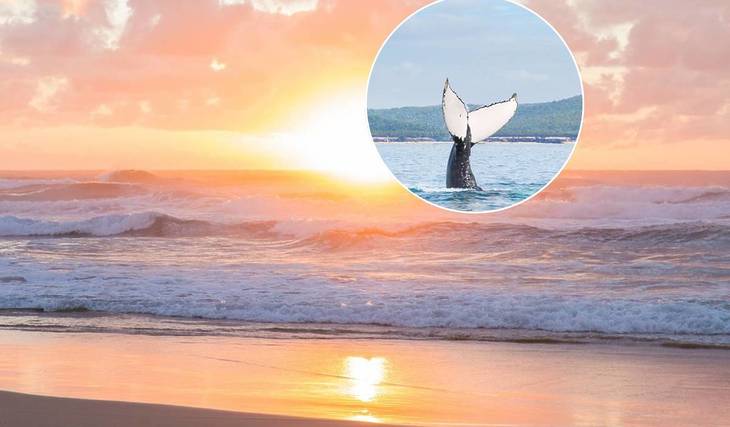 Why this ‘happy’ beach town is the ultimate winter escape just north of Brisbane